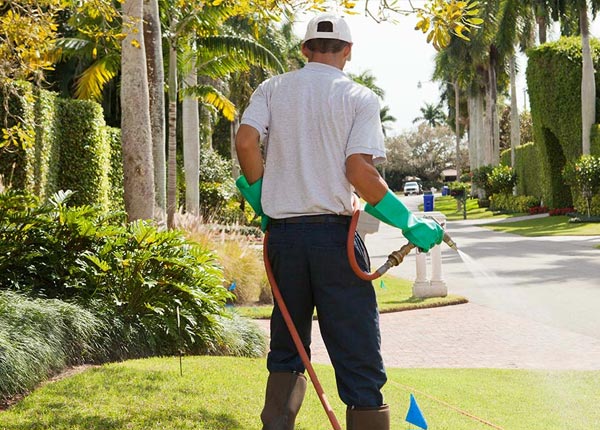 About Audubon IA Pest Control